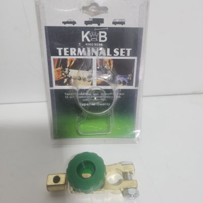 Battery quick disconnect terminal